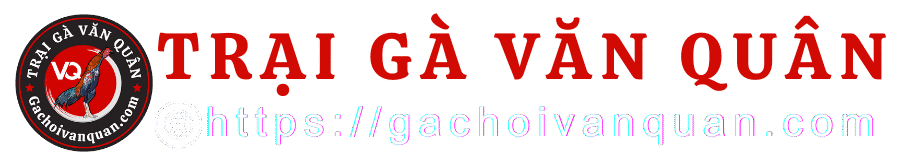 CLB Gà Chọi Văn Quân – Live 2